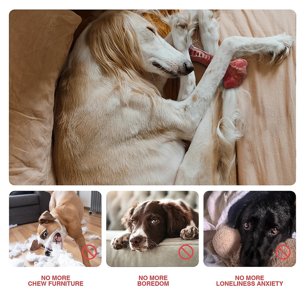 Masbrill Dog Toys for Aggressive Chewers Large Dog Bone Shaped Indestructible Nylon Interactive Chew Toys for Teeth Cleaning - The Best Assortments 25